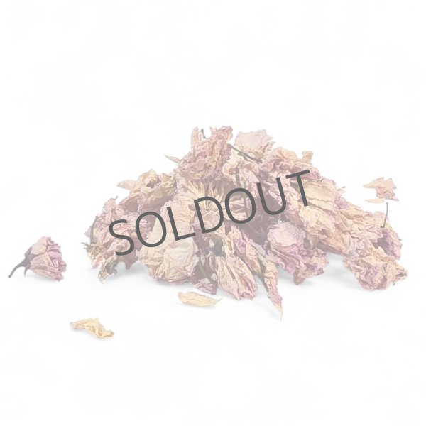 画像1: 【数量限定】【お一人30gまで購入可】国産八重桜（10g単位） (1)