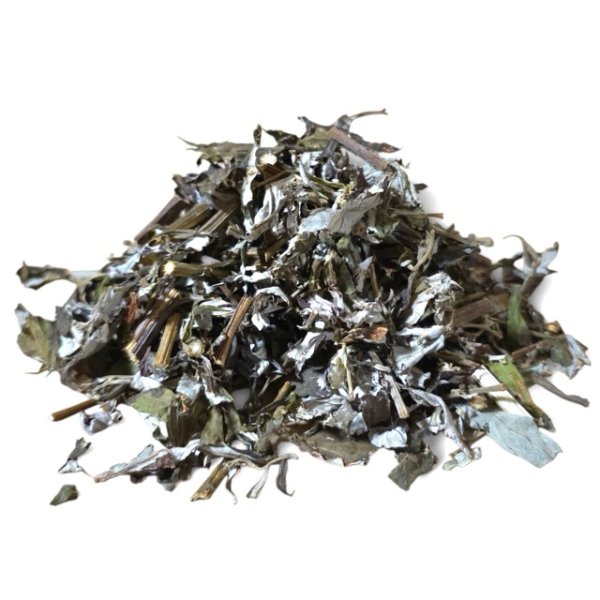 画像1: 長野県松代産よもぎ(100g単位量り売り) (1)