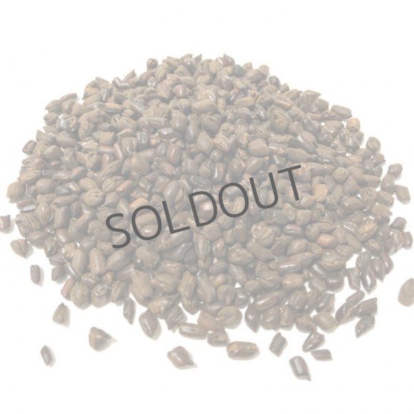 画像1: ケツメイシ(100g単位) (1)