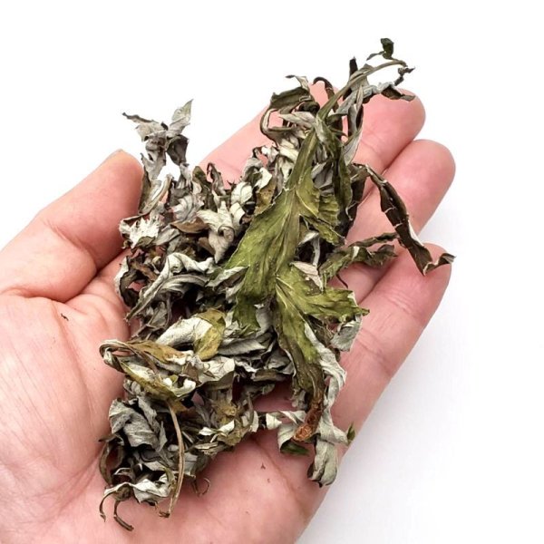 画像2: 長野県小川村産よもぎ お得な1kgパック (2)