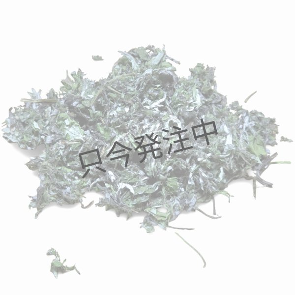 画像1: 奈良県吉野村産よもぎ お得な1kgパック (1)